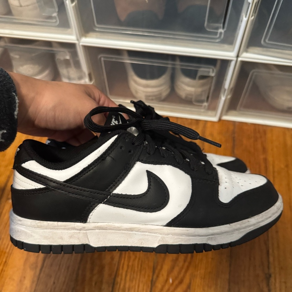 Nike dunk lows (black)